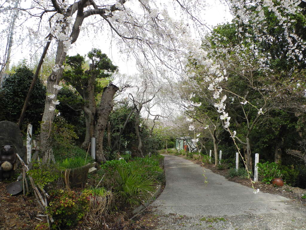 知多半島