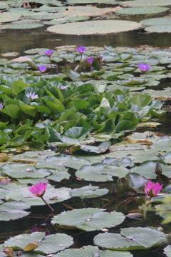 於大公園