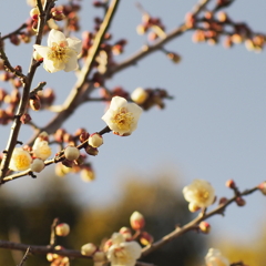 佐布里池