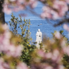 聖崎公園
