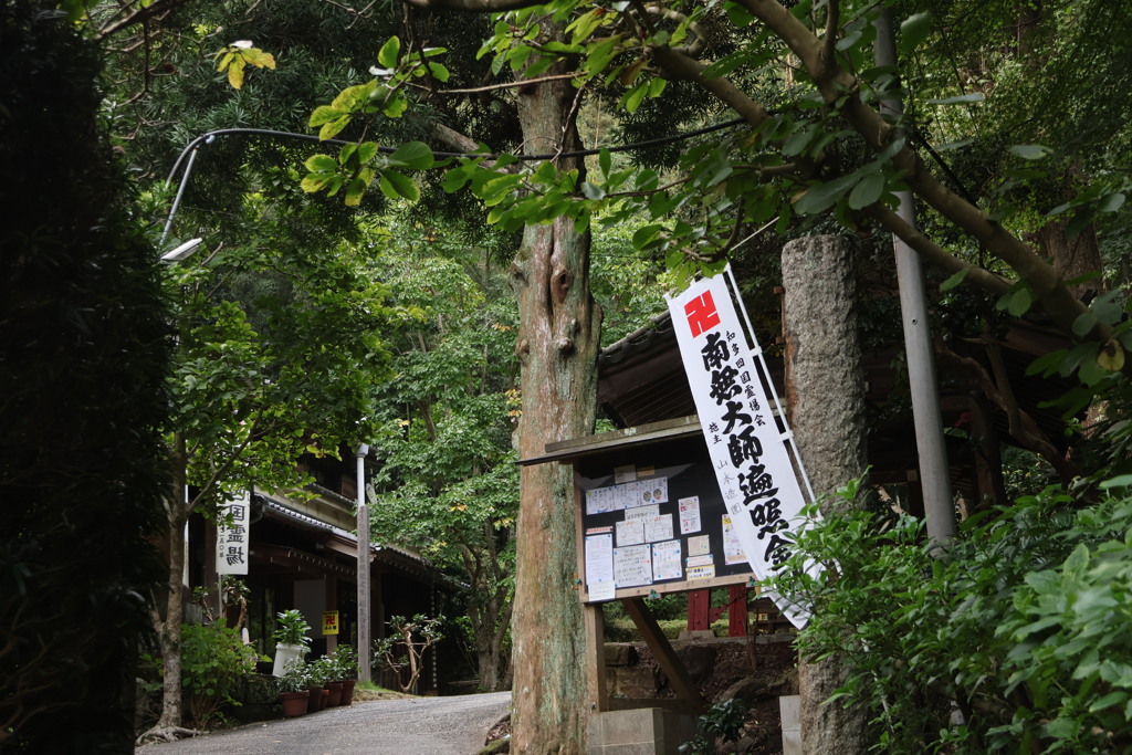 知多半島