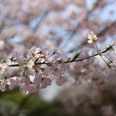 上ノ山公園