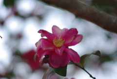 上ノ山公園付近