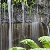 相模原公園