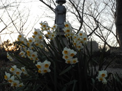 上ノ山公園