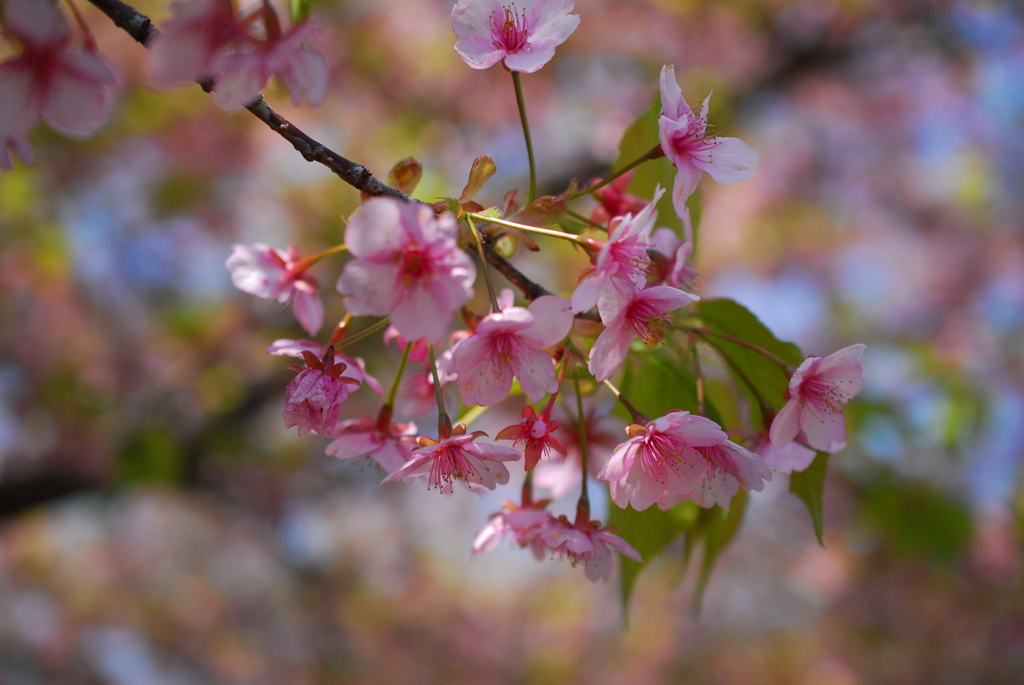 上ノ山公園