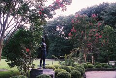 薬師池公園
