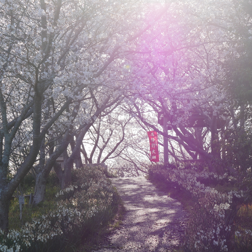 上ノ山公園