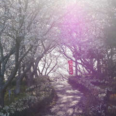 上ノ山公園
