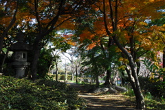 雁宿公園