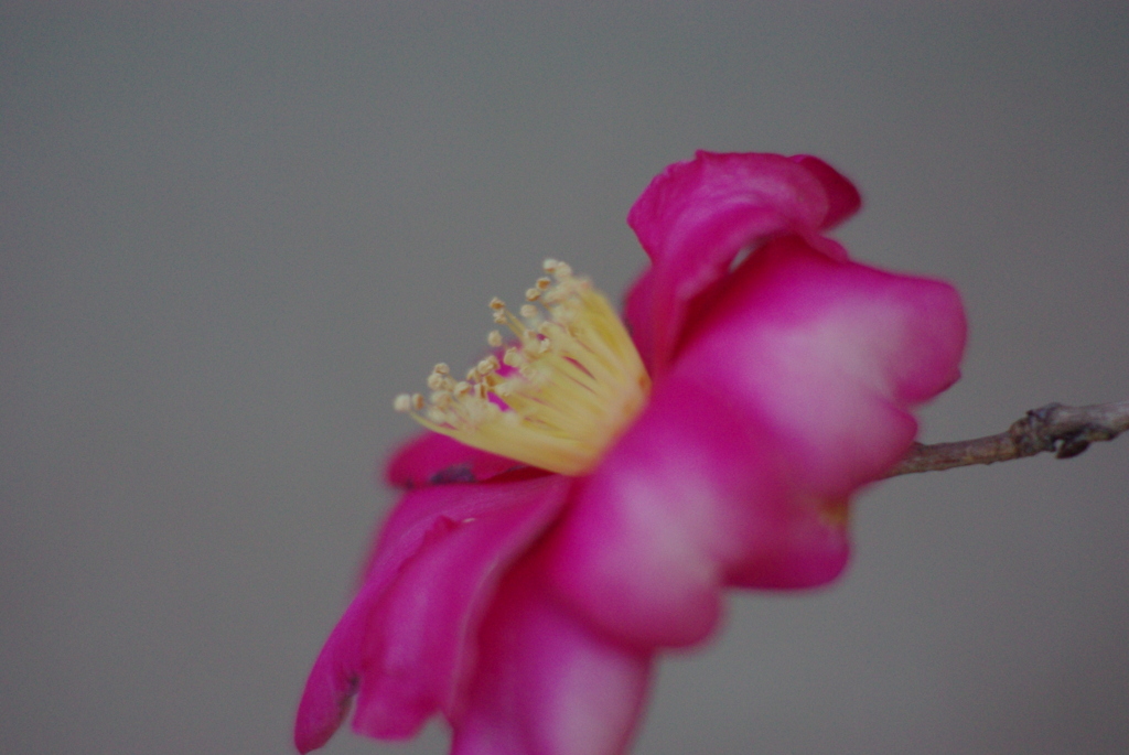 上ノ山公園付近