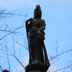心月斉
