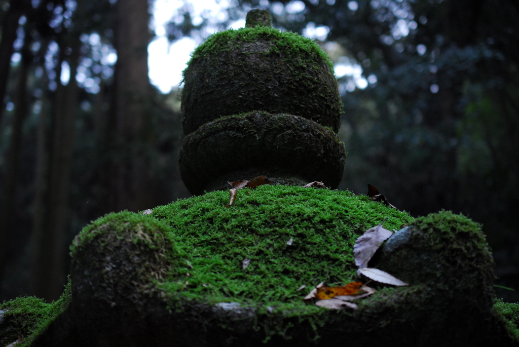 岩屋寺