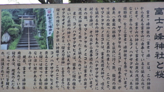 桜公園