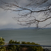 知多半島