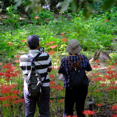 相模原北公園