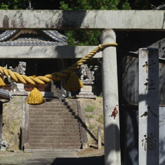 知多半島