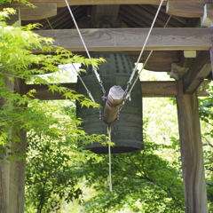 廣徳寺