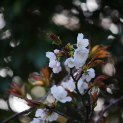 上ノ山公園