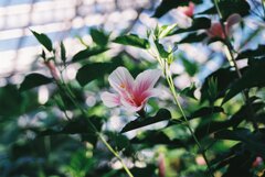 相模原公園 相模原公園