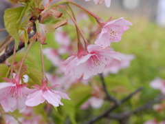 小脇公園