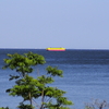 知多半島