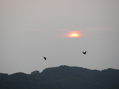 豊浜