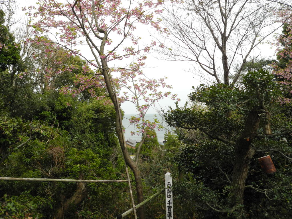 知多半島