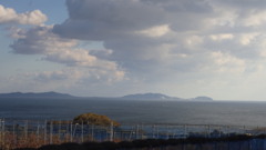 知多半島