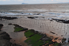 知多半島