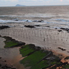知多半島