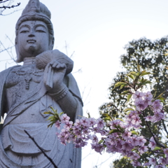 知多半島