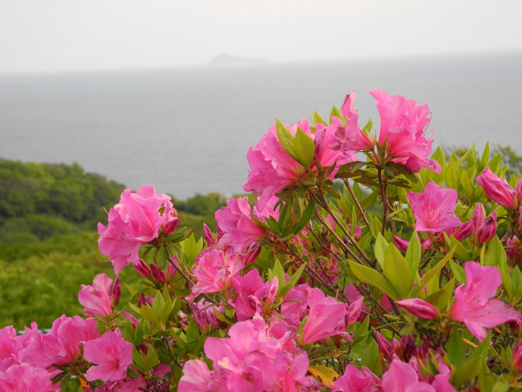 知多半島