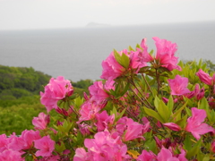 知多半島