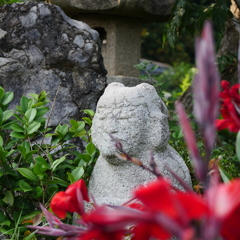 安養寺