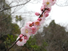 高砂山公園