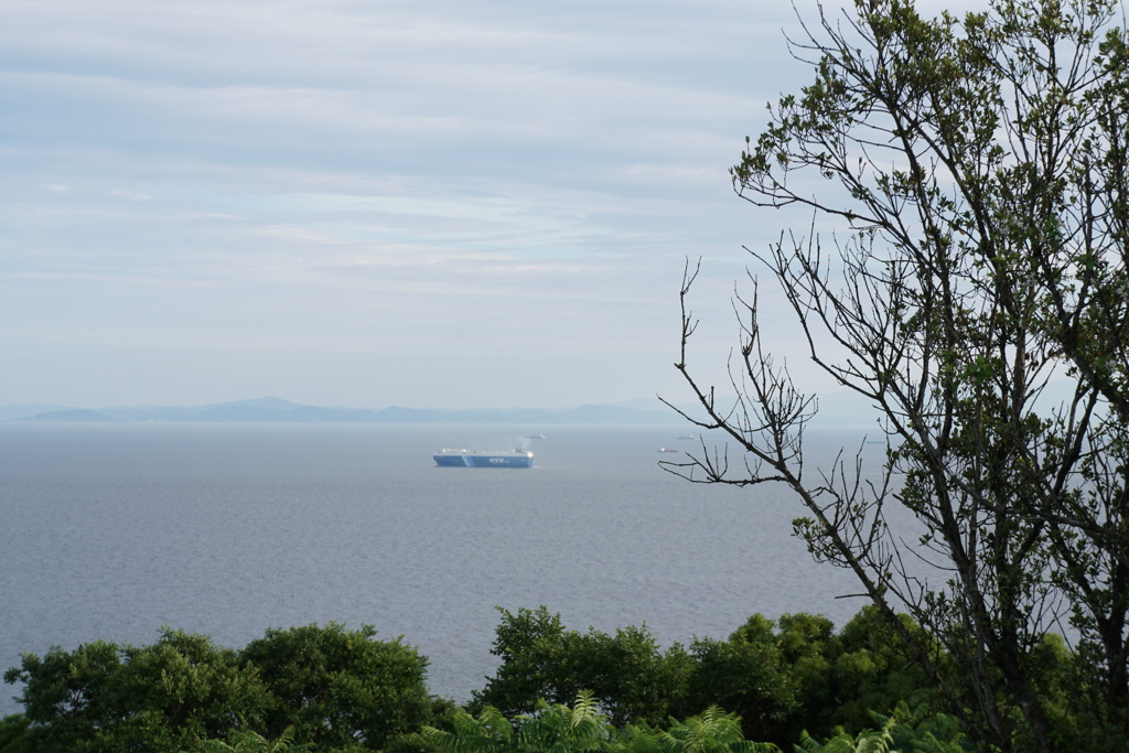 知多半島