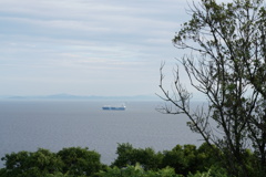 知多半島