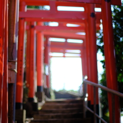 知多半島
