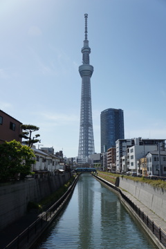 ゴールデンウィーク２０２３亀戸散策５