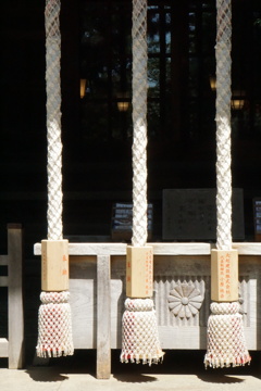 2023GW_石神井公園散策5