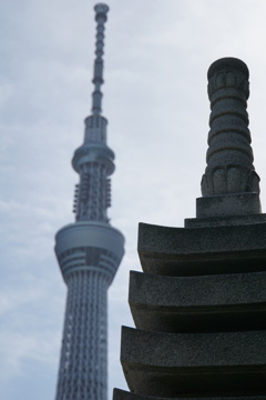 ゴールデンウィーク２０２３亀戸散策８
