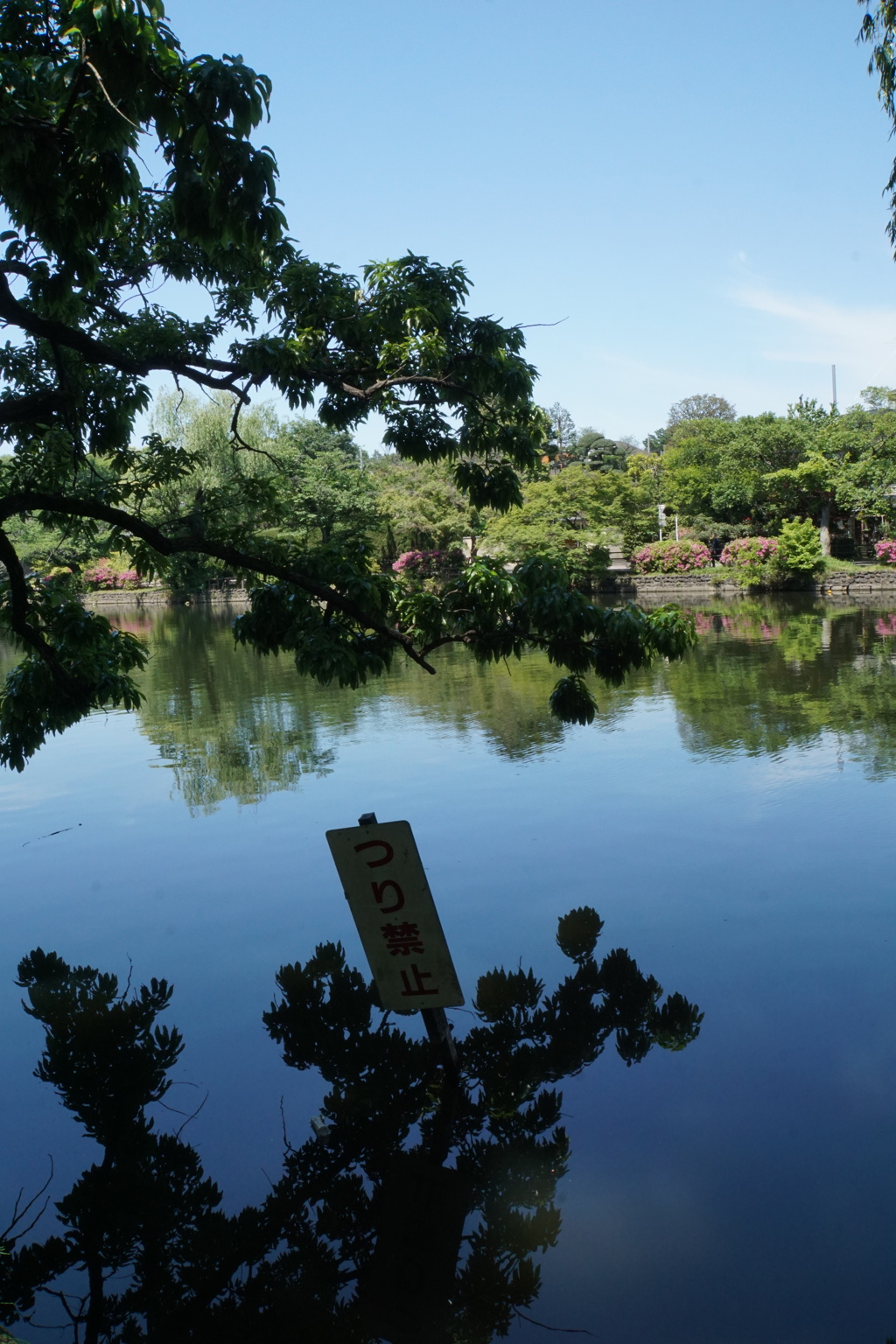 2023GW_石神井公園散策3