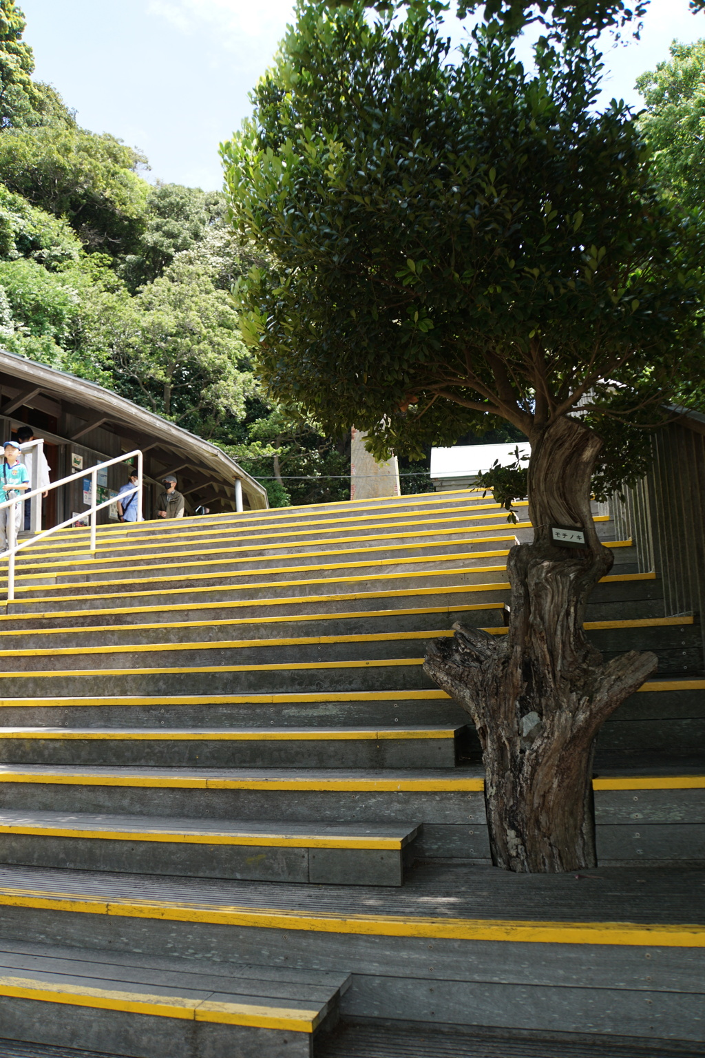 2023MAY SARUSHIMA10