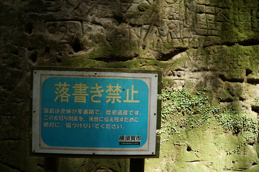 2023MAY SARUSHIMA5