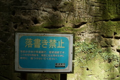2023MAY SARUSHIMA5