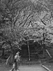 人生ニ花咲ク日アリ。