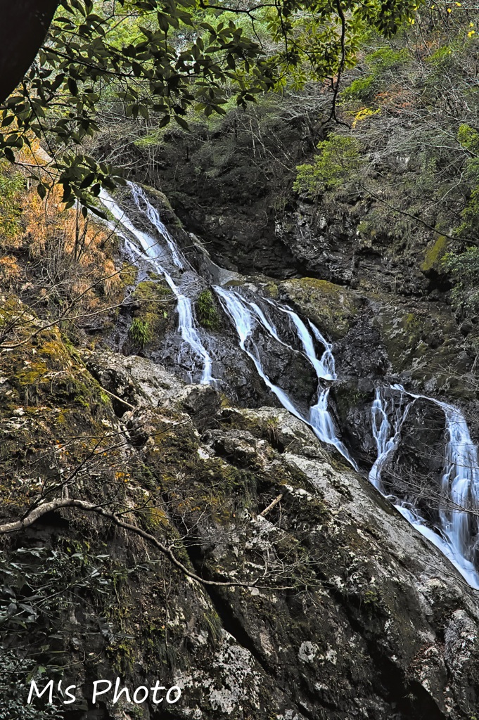 滝頭