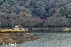 岬の小屋