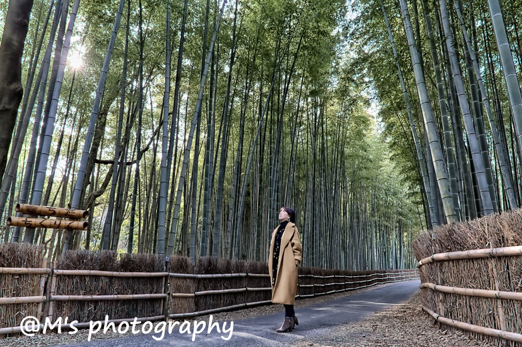 竹林の小道